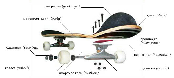 Составляющие скейтборда - Проскейтинг